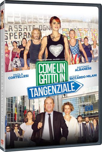  COME UN GATTO IN TANGENZIALE