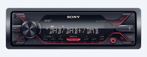 Sony DSX-A310DAB Nero, Rosso 220 W
