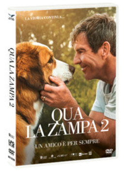 Dvd qua la zampa 2 - un amico