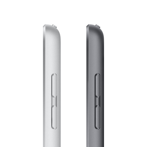 Apple iPad 10.2-inch Wi-Fi 256GB - Grigio siderale