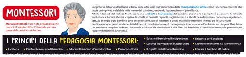 Lisciani Montessori Maxi La Mia Casa