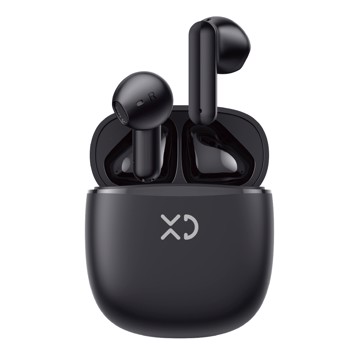 Dual mini earbuds