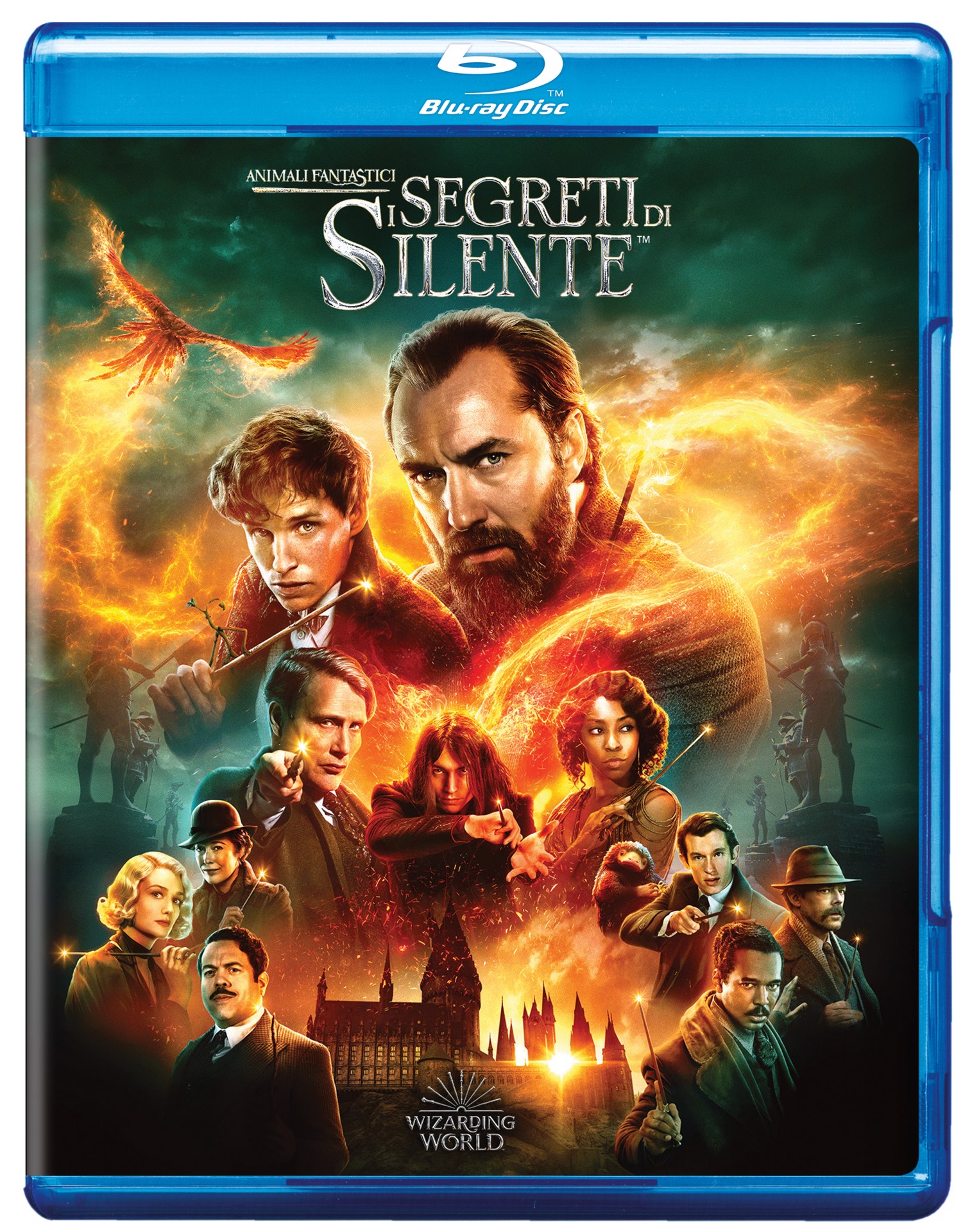 Warner Home Video Animali Fantastici - I Segreti Di Silente Blu-ray, Film  in Blu Ray in Offerta su Stay On