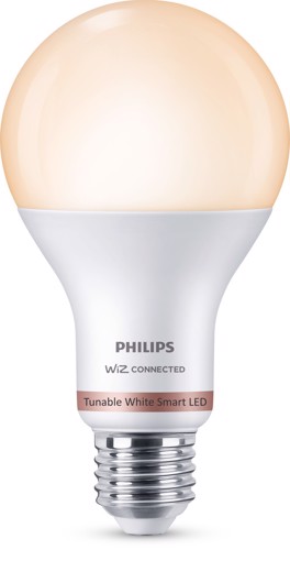 Philips Lampadina 13 W (Eq.100 W) A67 E27