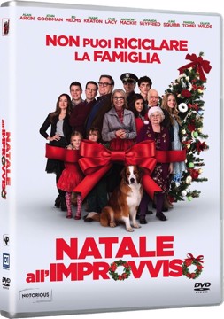 Dvd natale all'improvviso