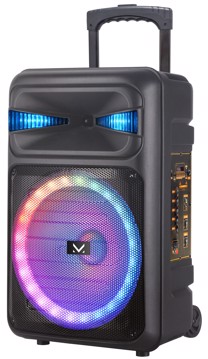 Party speaker a trolley microfono non incluso