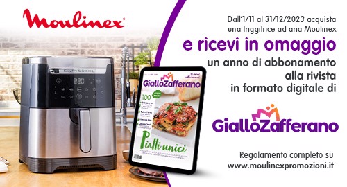 MOULINEX EASY FRY & GRILL REGALA LE MIGLIORI RICETTE ONLINE