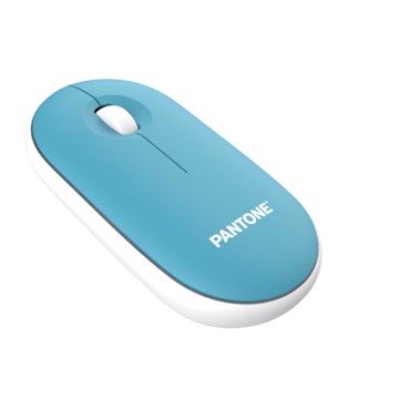 Pantone mouse con dongle azzur