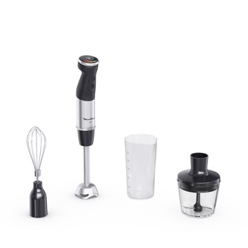 Mixer ad immersione 1000w 20vel.p.inox frusta tri