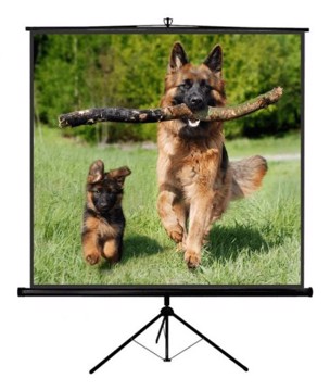 Tp new junior 240x240