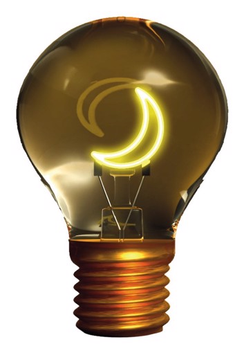 SBS LHBULB3 illuminazione decorativa Figura luminosa decorativa 1 lampadina(e)