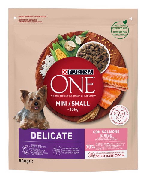 Purina ONE 12511356  cibo secco per cani Adulti 5-10kg Salmone, Riso 800 g