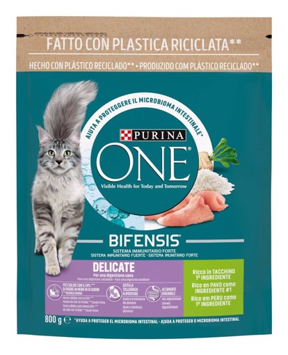 Purina ONE 12510679 cibo secco per gatti 800 g Adulto Manzo