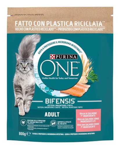 Purina ONE 12505695 cibo secco per gatti 800 g Adulto Salmone
