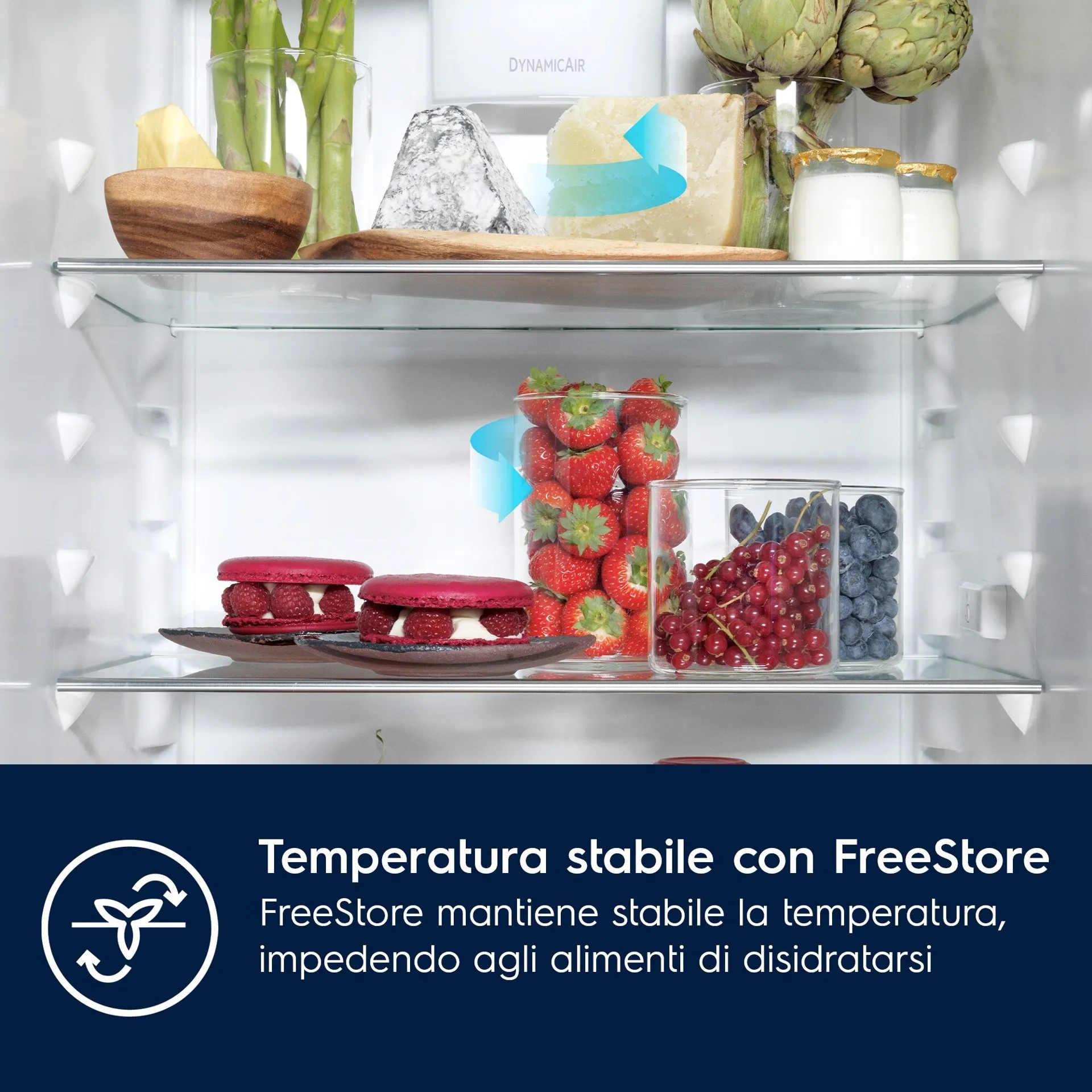 Ricambi per Frigorifero Electrolux | Qualità e Affidabilità