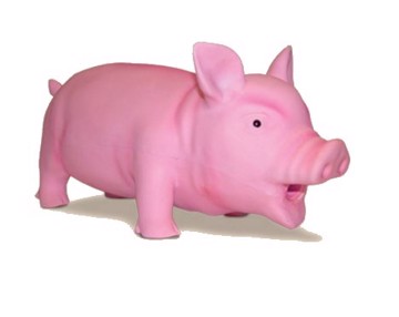 Maialino grugnino in lattice