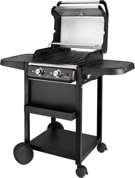 Barbecue elettrico