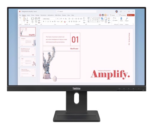Lenovo ThinkVision E24-40 Monitor