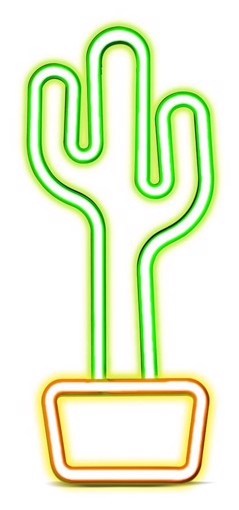SBS Cactus Glow On Servizi generali Interno Cactus (forma)