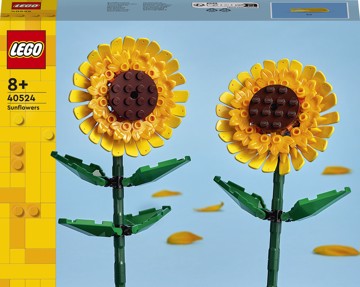 Girasoli
