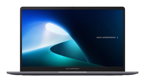 ASUS ExpertBook P1 P1503CVA-S72552W Intel Core 3 100U Computer portatile 39,6 cm (15.6") Full HD 8 GB DDR5-SDRAM 512 GB SSD Wi-Fi 6 (802.11ax) Windows 11 Home Grigio